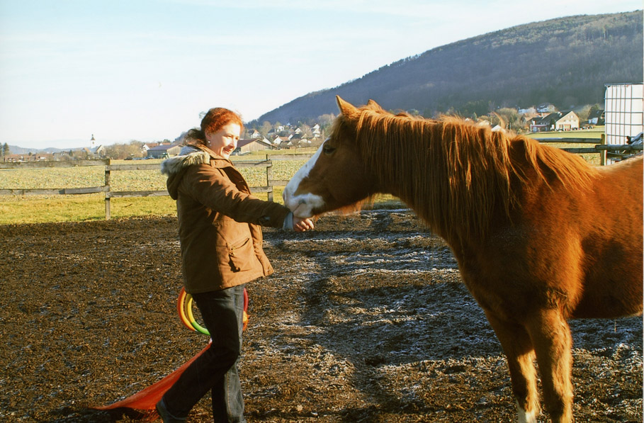 Persönlichkeitstraining mit Pferden - Sibylle Pfanner